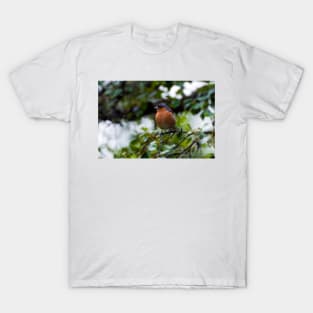 Chaffinch T-Shirt